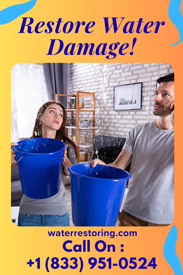water restoration Ace Water Damage Services Fontanet